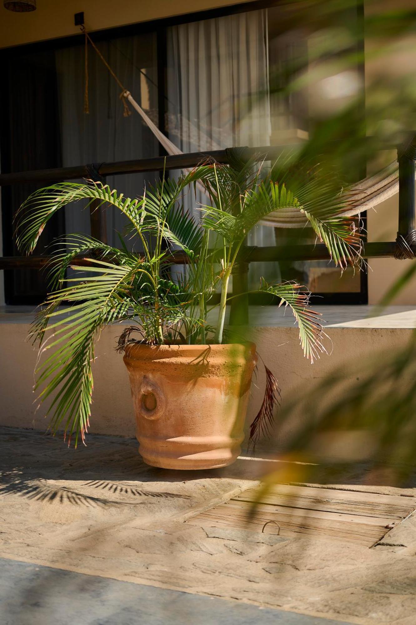 Lya Beach House Santa María Colotepec Exteriör bild