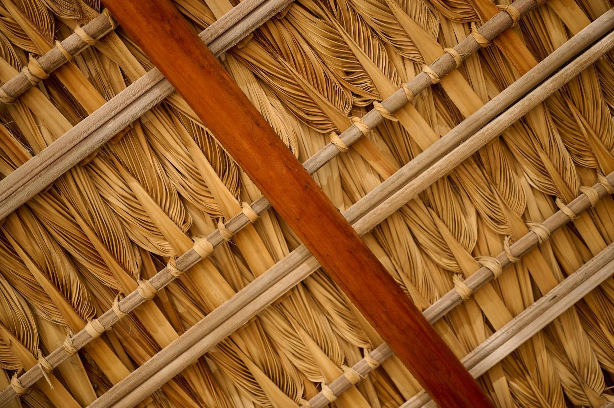 Lya Beach House Santa María Colotepec Exteriör bild